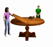 Table Top Protectors